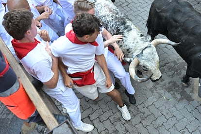 Los mozos corren junto a los morlacos de la ganadería Cebada Gago.