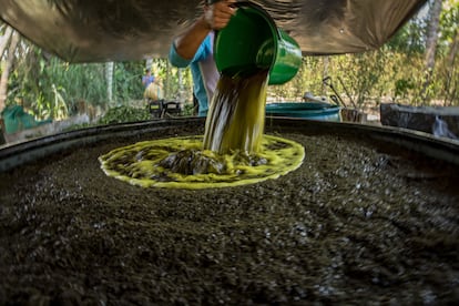 Un trabajador echa gasolina en un contenedor lleno de hoja de coca recién triturada en el proceso de producción de pasta base.