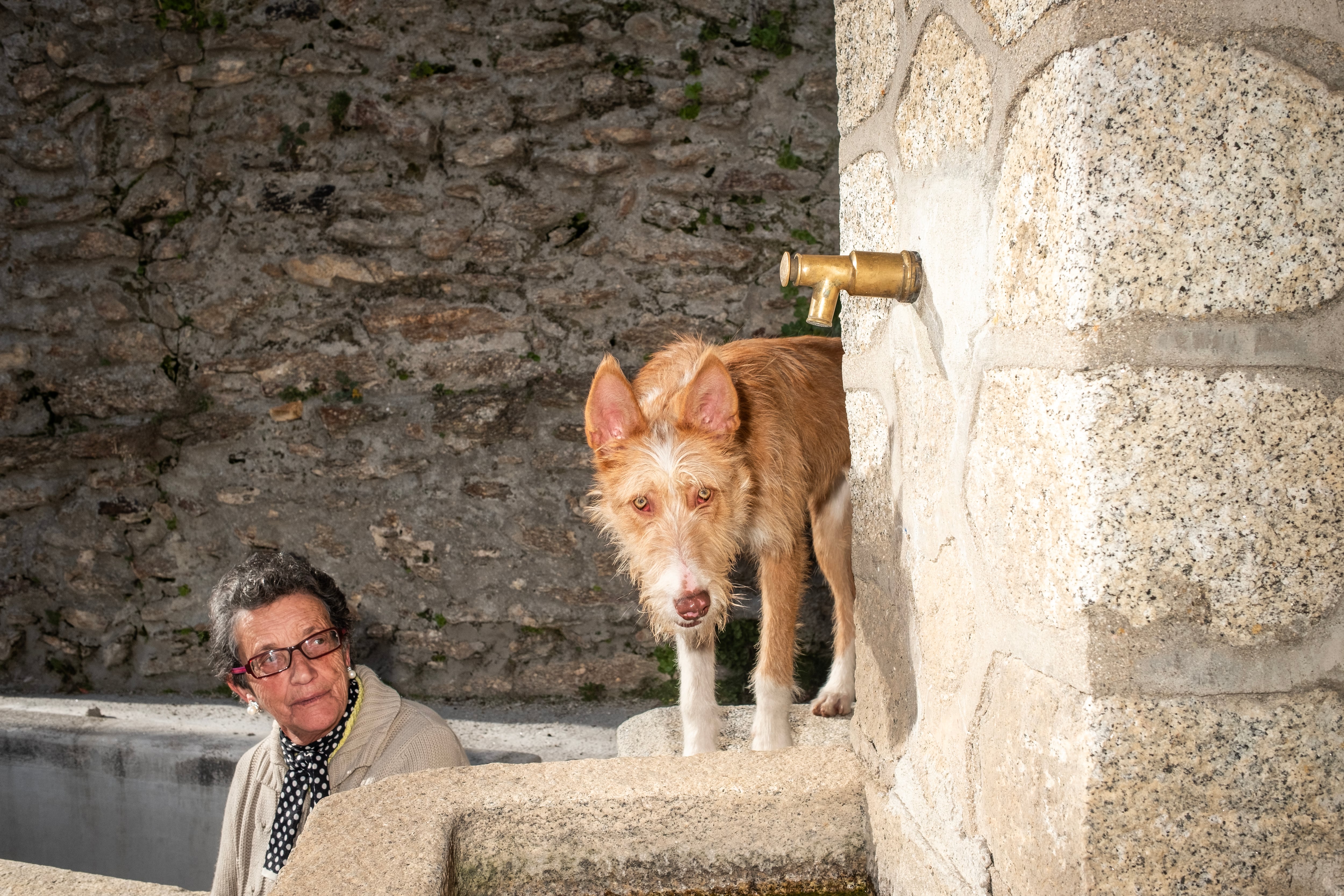
Juliana, en la fuente del pueblo junto a un perro llamado Melendi. 
