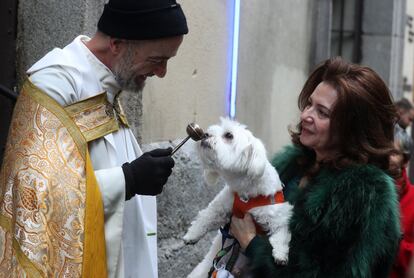 El ambiente festivo se ha adueñado de la calle Hortaleza donde los dueños de las mascotas han compartido sus trucos de cariños y cuidados mientras una orquesta animaba musicalmente el ambiente, algo que a algunos perros no les ha hecho demasiada gracia.