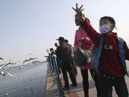 Un ni&ntilde;o da comida a las gaviotas protegido con una m&aacute;scara.