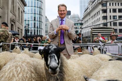 El presentador de televisión y ex parlamentario conservador Michael Portillo posa para una fotografía con un rebaño de ovejas mientras abre la feria de la lana caminando por el puente de Londres.