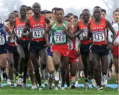 El etíope Kenenisa Bekele, con el número 206, al comienzo del cross largo de ayer.