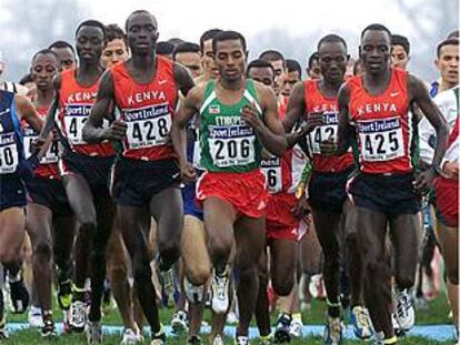 El etíope Kenenisa Bekele, con el número 206, al comienzo del cross largo de ayer.
