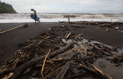 A mediados de abril, Donald Trump declaró estado de desastre en Hawái debido a las fuertes inundaciones. En la imagen, un surfista camina entre los restos de árboles devastados por el huracán Lane, el 26 de agosto de 2018, en Hilo (Hawái).