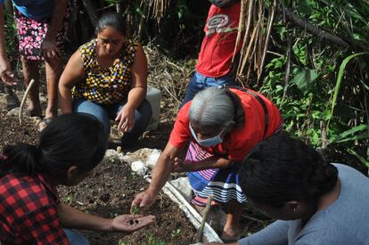 Un grupo de vecinos trabaja la tierra cerca de Maraxcó, zona ubicada en el Corredor Seco y afectada por la sequía.