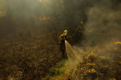 La Consellería de Medio Rural informa en su cuenta oficial de Twitter de que en la zona trabajan, en la extinción de este fuego con varios focos cuya causa se investiga, cuatro aviones y siete helicópteros, además de los medios terrestres.