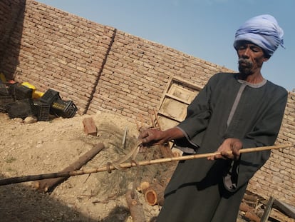 Abdul Hamed, con una culebra hallada en el Hotel New Memnon.