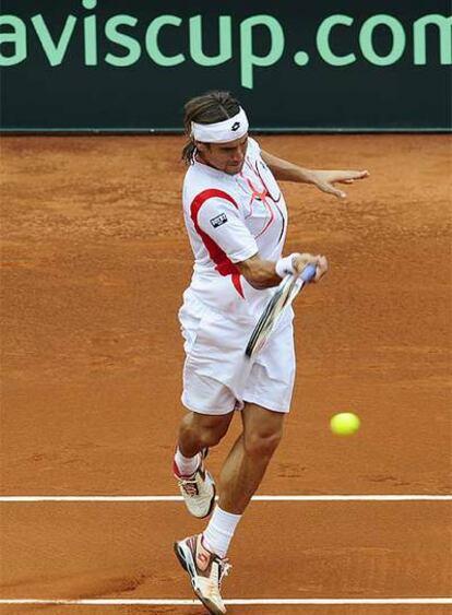 David Ferrer