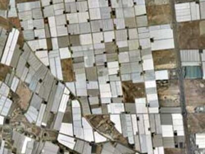 Invernaderos de El Ejido