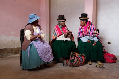 SOLO USAR CON EL TEMA:
El sueño del Altiplano boliviano: sembrar un grano andino para combatir el éxodo rural