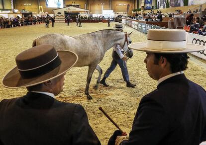 Unos hombres observan uno de los caballos que participa en el Salón Internacional del Caballo (SICAB).