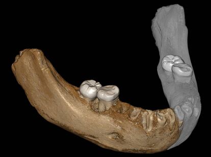 Los primeros homínidos que habitaron en el Tíbet pertenecieron a la subespecie de los denisovanos. Estas conclusiones se fundamentan en el hallazgo del fósil de una mandíbula inferior de unos 160.000 años en Xiahe, en China.