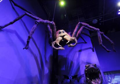 La araña Aragog, gran amiga de Hagrid.