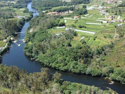 Río Ulla a su paso por Padrón.