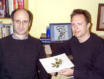 Los investigadores españoles Miquel Coll, a la izquierda y Joan Aymami, a la derecha, con una muestra de la liana <i>Cryptolepsis sanguinolenta</i>, de la que se extrae el fármaco estudiado por ambos.