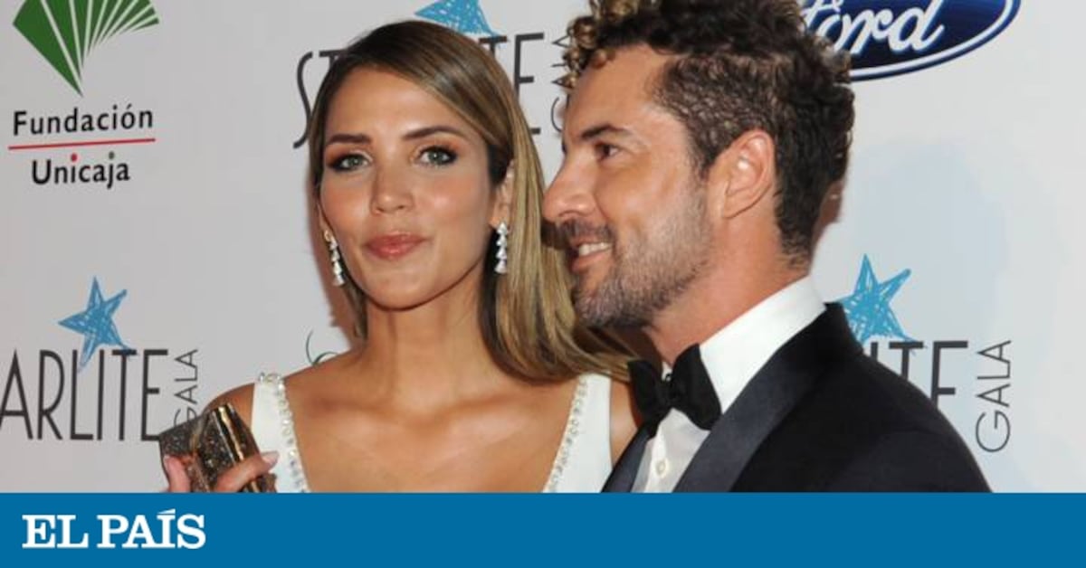 Así es Rosanna Zanetti, la modelo que espera un hijo con David Bisbal ...