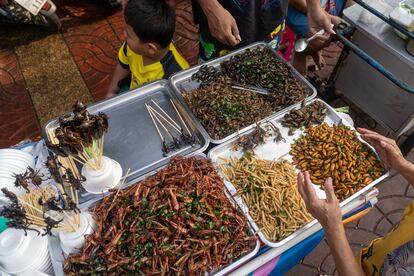 Una mujer vende insectos comestibles en Chinatown, Bangkok, Tailandia.