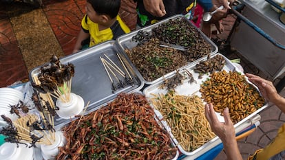 Una mujer vende insectos comestibles en Chinatown, Bangkok, Tailandia.