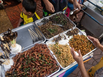 Una mujer vende insectos comestibles en Chinatown, Bangkok, Tailandia.