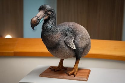 A sculpture of the dodo, an extinct animal of which no complete stuffed specimen has survived.