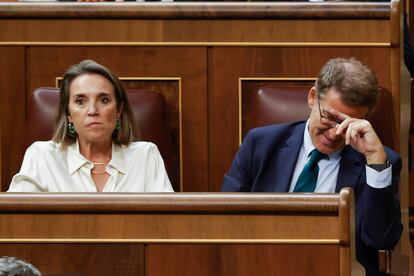 El líder del Partido Popular y candidato presidencial, Alberto Núñez Feijóo, junto a la portavoz de su partido, Cuca Gamarra, este viernes en el Congreso.