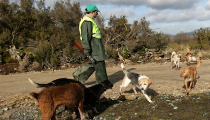 Un cazador junto a los perros, en una imagen de archivo.