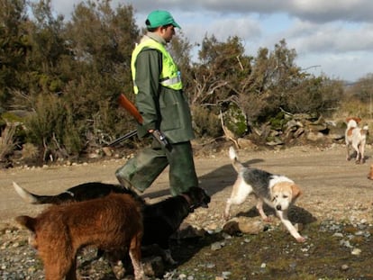 Un cazador junto a los perros, en una imagen de archivo.