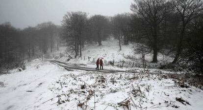 Dos personas pasean por el monte en el alto de Ibañeta (Navarra), este domingo.