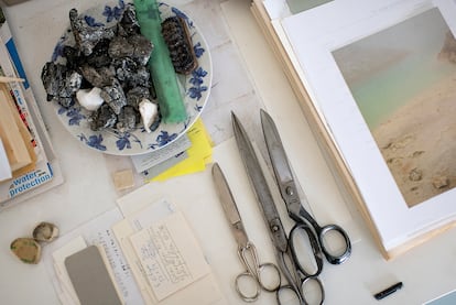 Eva Lootz produces her pieces in a homemade and artisanal way, without industrial help.  Her work tools include scissors, cuttings and materials collected here and there.