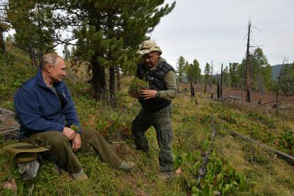 El presidente ruso, Vladimir Putin, y el ministro de Defensa, Sergei Shoigu, se familiarizan con la flora y fauna rusa.