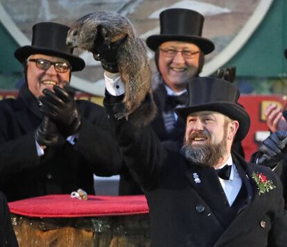 Los maestros de ceremonias encargados del Punxsutawney Groundhog Club (el Club de la Marmota de Punxsutawney), los encargados de custodiar al animal y oficiar la tradición, que incluye la salida de la marmota de su jaula frente a sus "miles de seguidores" y la lectura del pronóstico, que varía en función de si, al salir, el animal ve su sombra o no, en Punxsutawney, Pensilvania (EE UU).