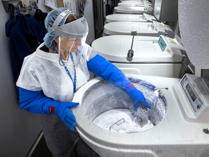 Tanques de nitrógeno líquido, donde se almacenan los embriones congelados, en la clínica del Instituto Valenciano de Fertilidad