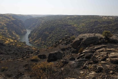 The scorched banks of the Duero, with Portugal on the left and Zamora province on the right.