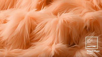 El color Pantone 2024 puede describirse como un 'beige' anaranjado, algo más cálido y por tanto dulcificado.