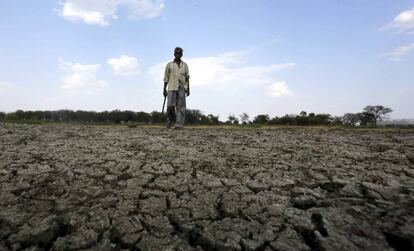 Un hombre camina en el lecho seco de un r&iacute;o cerca del pueblo de Bishankhedi, Bhopal (India), el 13 de mayo.  