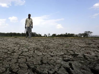 Un hombre camina en el lecho seco de un r&iacute;o cerca del pueblo de Bishankhedi, Bhopal (India), el 13 de mayo.  