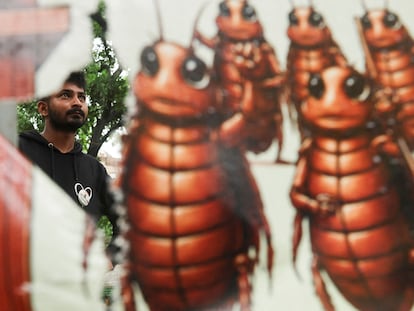 Cockroaches India