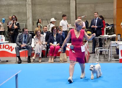 La reina Sofía presencia la ceremonia de inauguración de World Dog Show 2022, celebrada en Madrid.