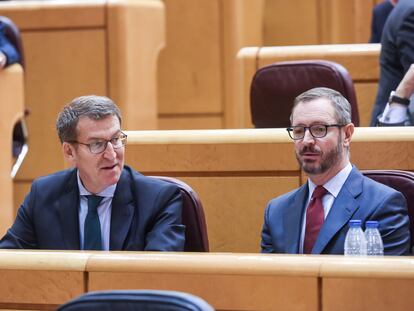 El presidente del PP, Alberto Núñez Feijóo (izquierda), y el portavoz popular en el Senado, Javier Maroto, este miércoles en el Senado.