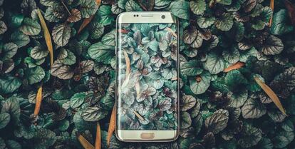 Pantalla de un teléfono Samsung Galaxy