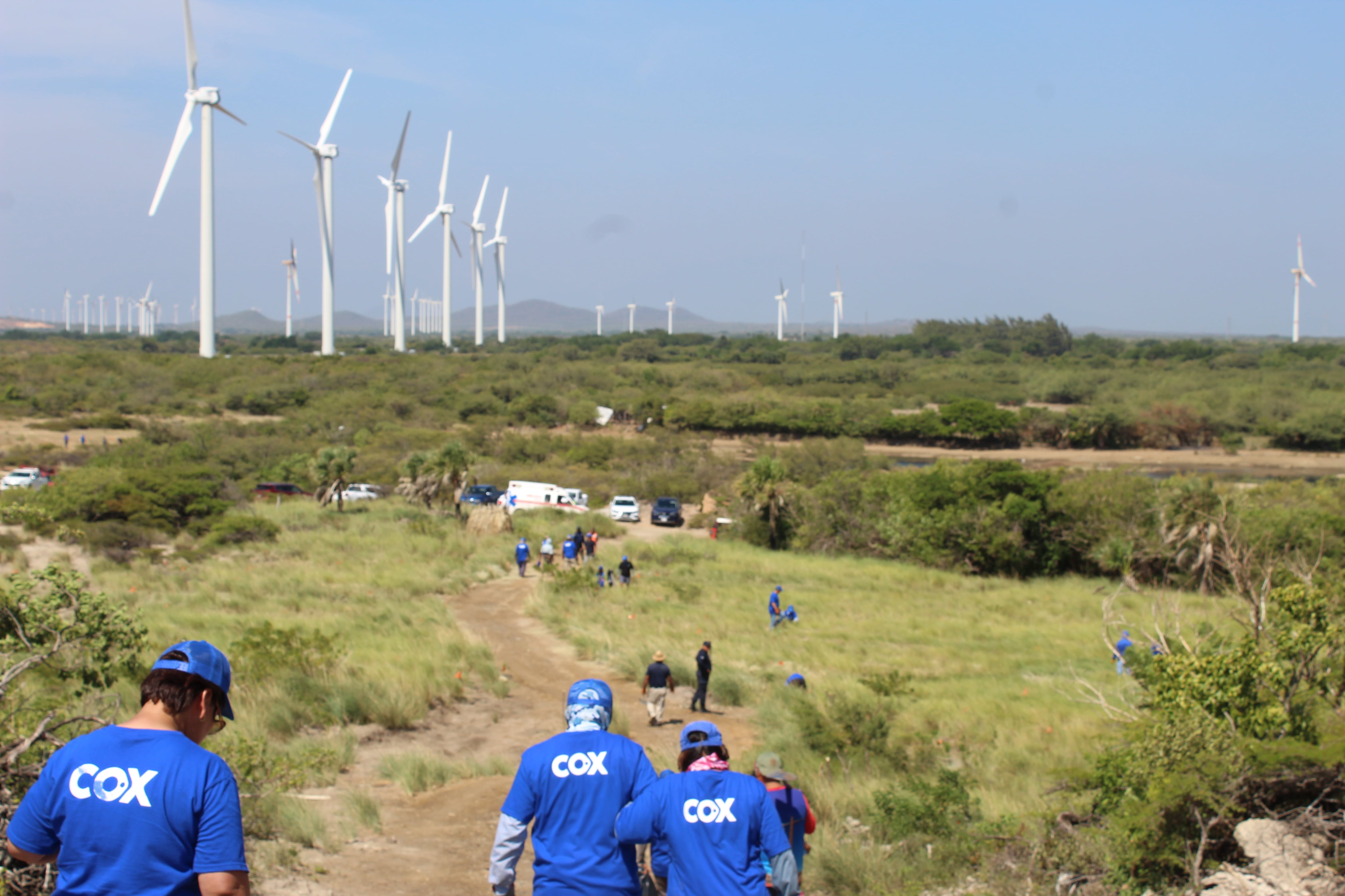 Seis estados, miles de manos y 12.000 árboles: imágenes de una jornada de reforestación de Cox