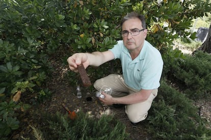 Eloy Marino, veterinario de la Consejer&iacute;a de Sanidad, ense&ntilde;a una de las tablas de madera en las que las hembras de mosquito tigre han de depositar sus huevos.