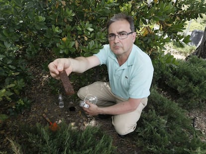 Eloy Marino, veterinario de la Consejer&iacute;a de Sanidad, ense&ntilde;a una de las tablas de madera en las que las hembras de mosquito tigre han de depositar sus huevos.