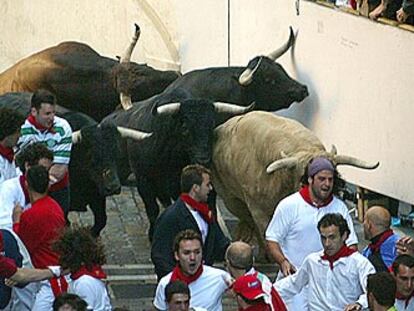 Los toros de Juan Pedro Domecq a su paso por Mercaderes.