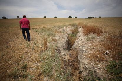 El campo bajo el que se esconde el yacimiento arqueologico de Asta Regia.