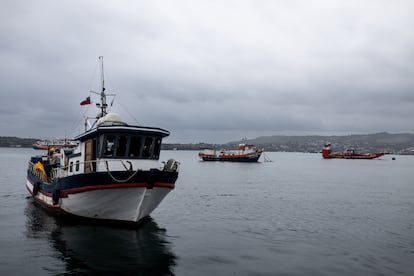 Embarcaciones en el puerto de Quellón, en Chiloé, desde donde zarparon las embarcaciones que colocaron la boya en el Golfo de Corcovado.