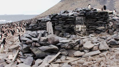 Restos del refugio que la tripulación del 'Antartic' construyó en la isla Paulet para sobrevivir al invierno de 1902.