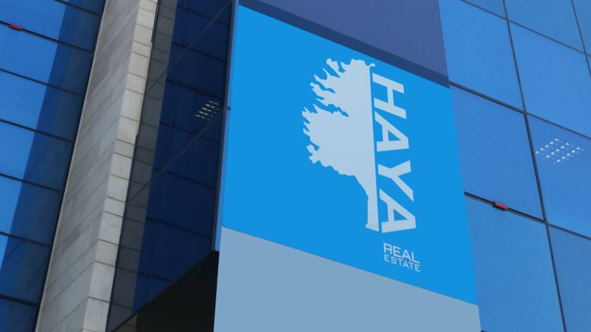 Los bonos de Haya Real Estate complican su venta por parte de Cerberus | Empresas | Cinco Días