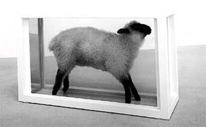 El famoso cuadro de Damien Hirst, <i>Away from the flock</i> (Alejada del rebaño), 1994.